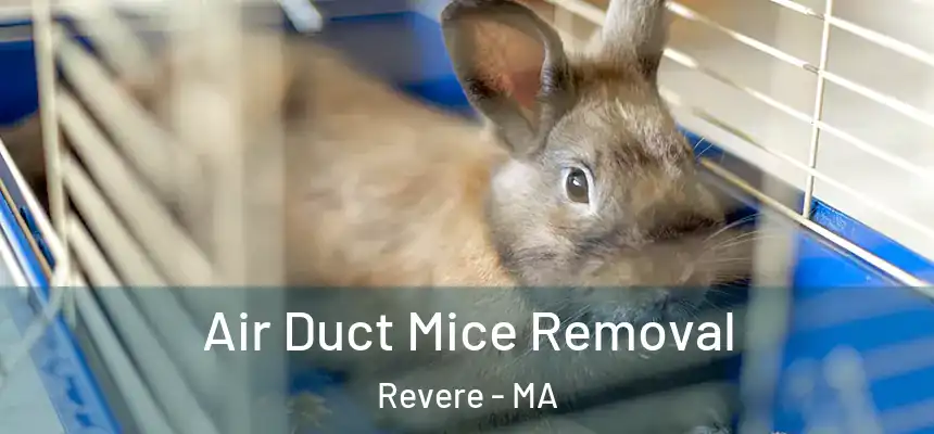  Air Duct Mice Removal Revere - MA