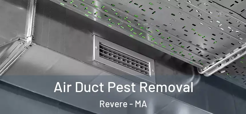 Air Duct Pest Removal Revere - MA