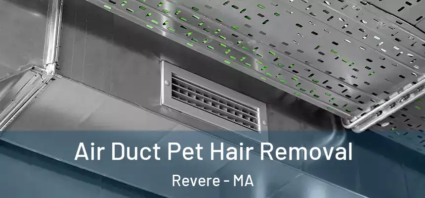  Air Duct Pet Hair Removal Revere - MA