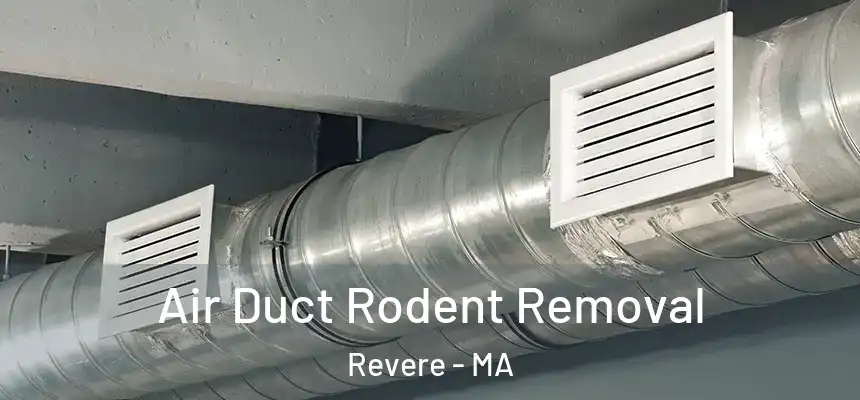 Air Duct Rodent Removal Revere - MA