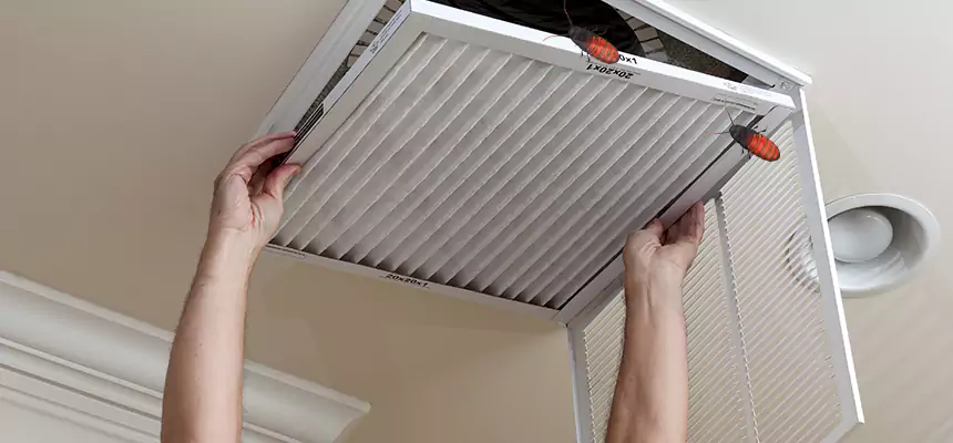 Preventive Cockroach-Proofing for Ducts in Revere
