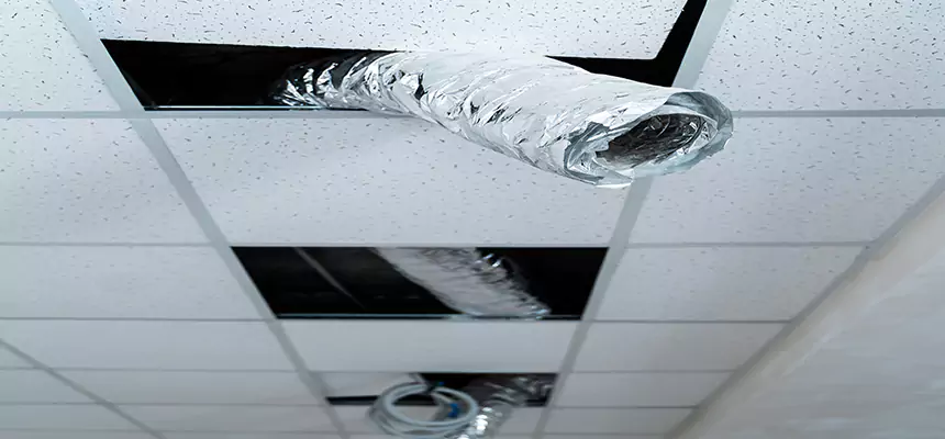 Affordable HVAC Sanitizing After Pest Removal in Revere