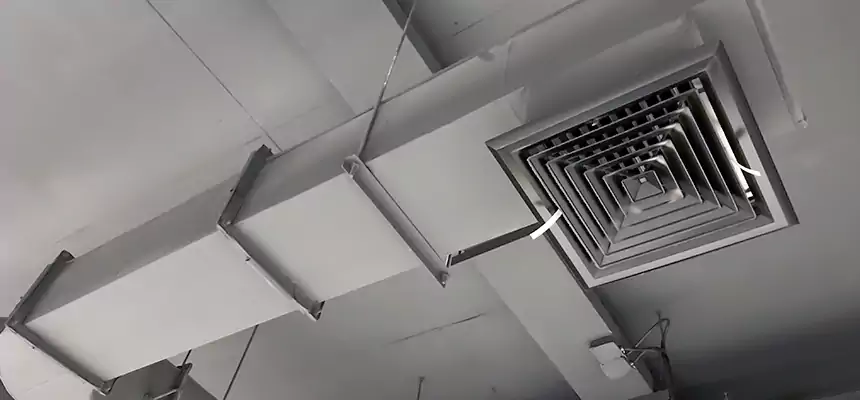 Our Pest Removal From Ducts Services in Revere, MA