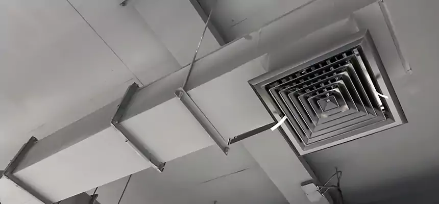 Our Rodent Droppings In Vents Services in Revere, MA