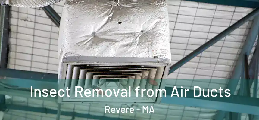 Insect Removal from Air Ducts Revere - MA