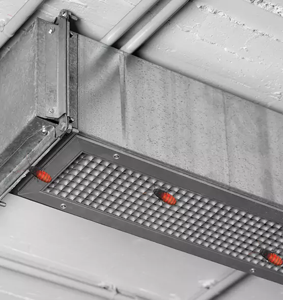 Affordable Insect Removal from Air Ducts in Revere, MA