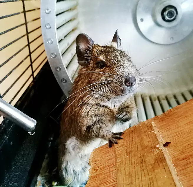 Why Homeowners & Businesses Trust Us Revere, MA