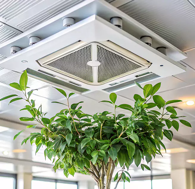 Why Homeowners & Businesses Trust Us in Revere, MA