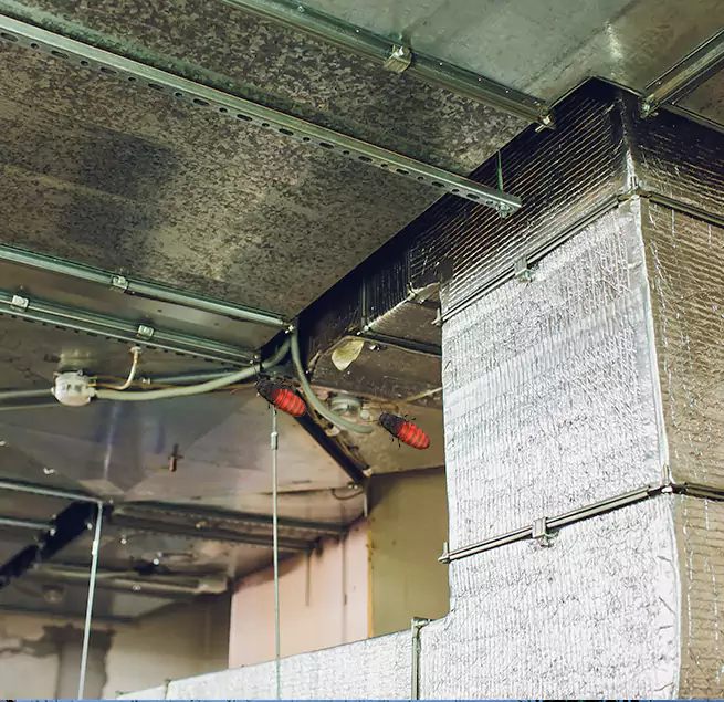 Why Homeowners & Businesses Trust Us Revere, MA?